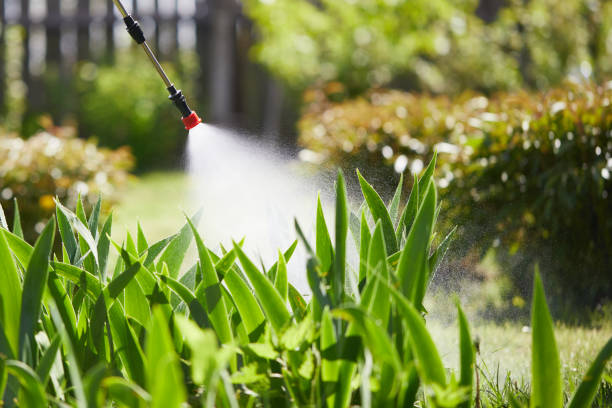 24/7 Emergency Rodent Control experts in Mount Gay-Shamrock, WV