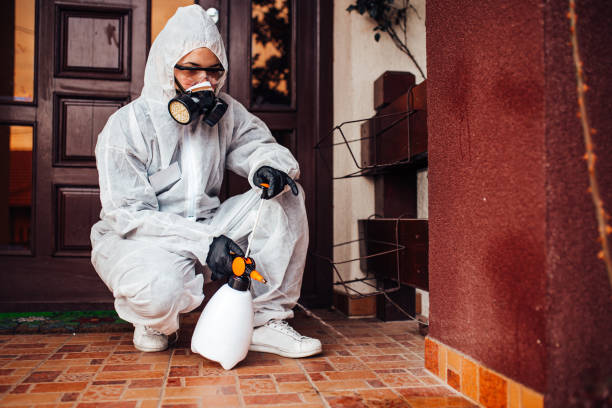 Reliable Rodent Control contractor in Mount Gay-Shamrock, WV by Nex Pest Control